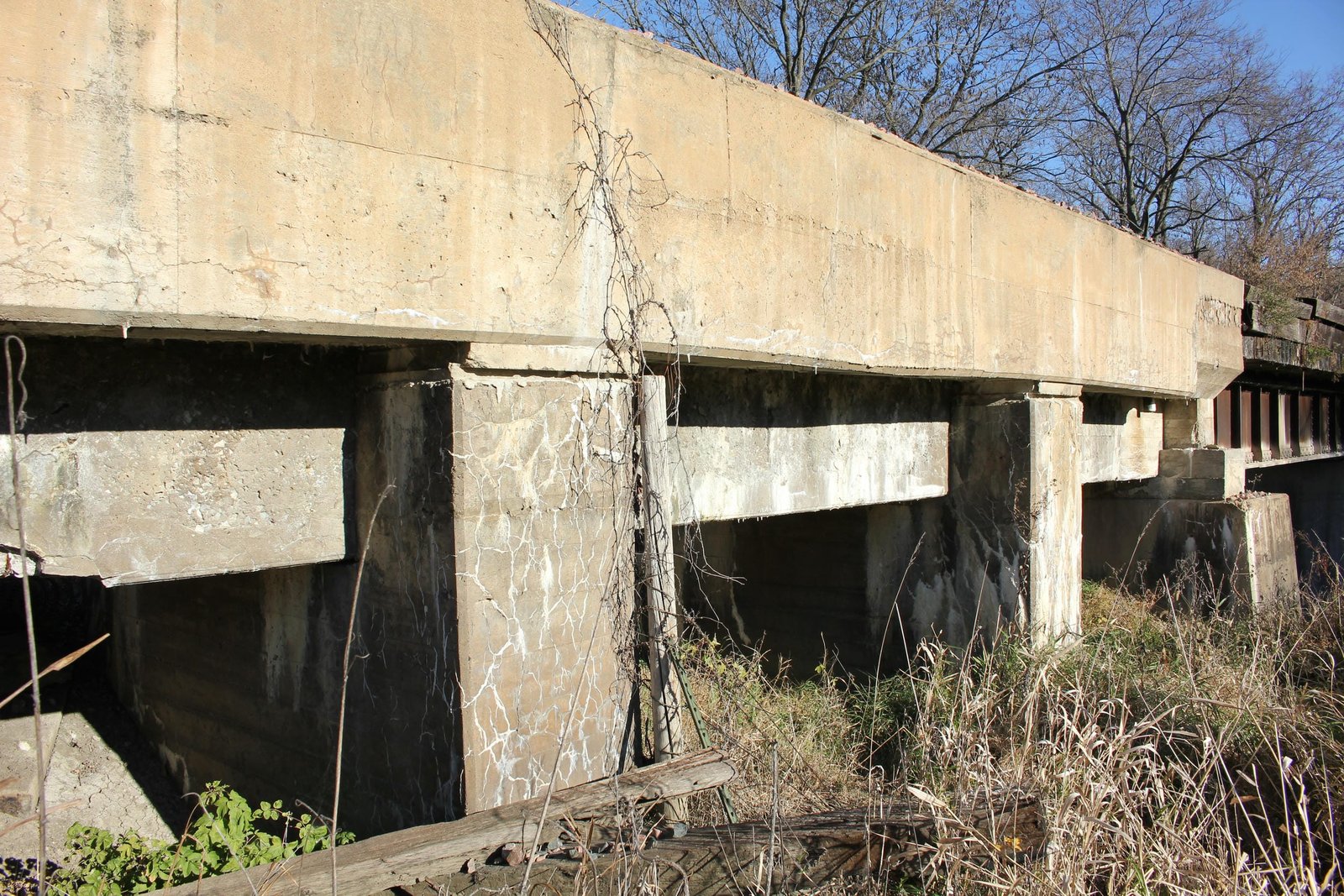 Span #8